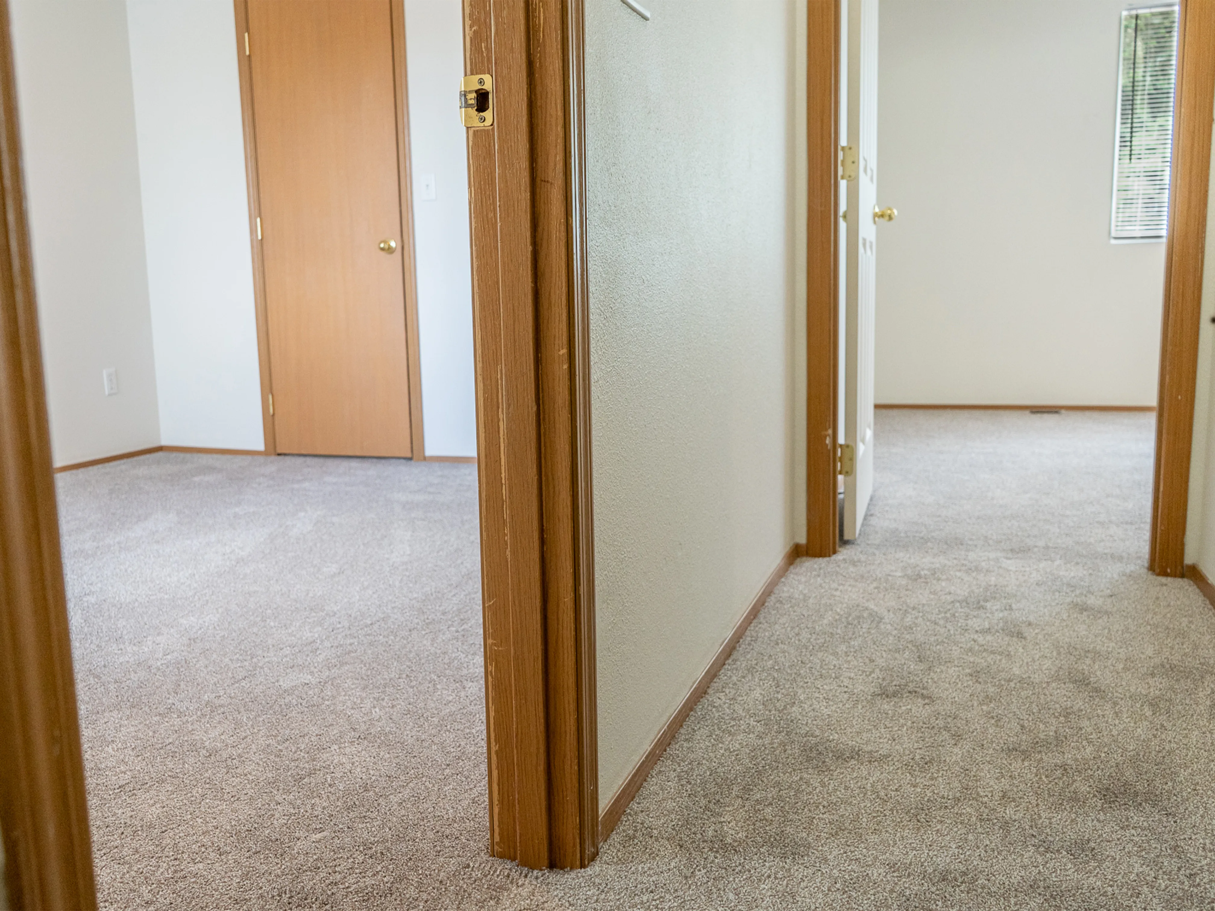 Beautiful renovated deck with premium composite flooring after Acosta Flooring installation